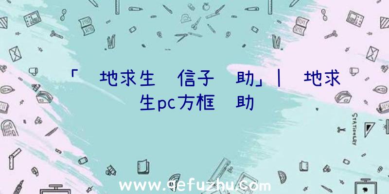 「绝地求生风信子辅助」|绝地求生pc方框辅助